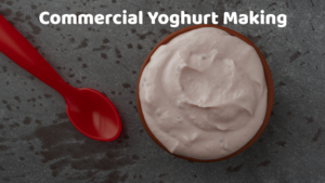 Commercial Yoghurt Making