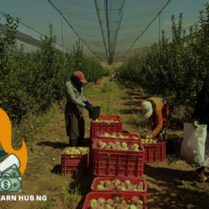 Farmer digging soil representing LEAHN Foundation Tier WordPress web design and Organic Farming Level 1 training